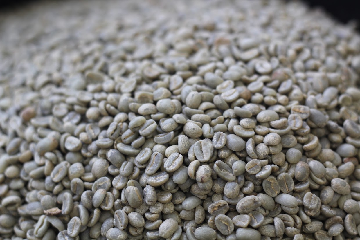green coffee